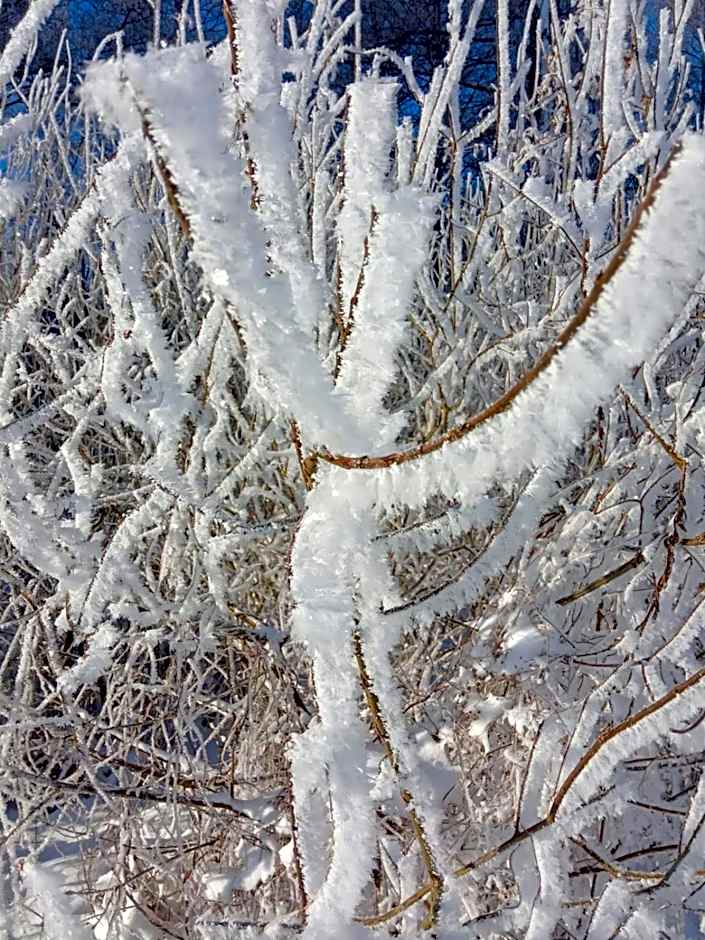 Bed & Breakfast - Warniłęg