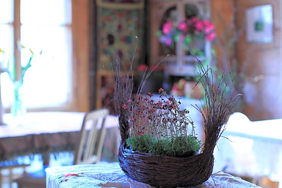 Leśniczówka u Zięby