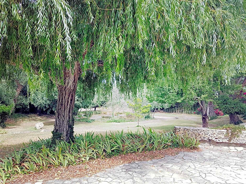 ibis Styles Arles Palais des Congrès