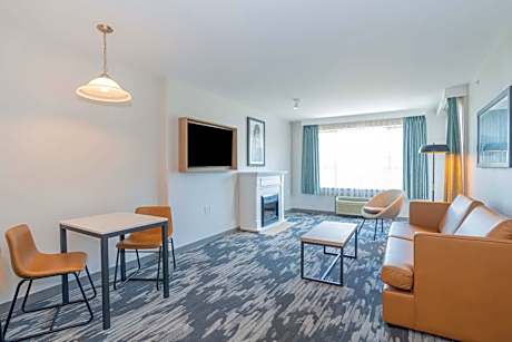 Standard Suite, 1 King Bed, Sofa Bed, Kitchen, View