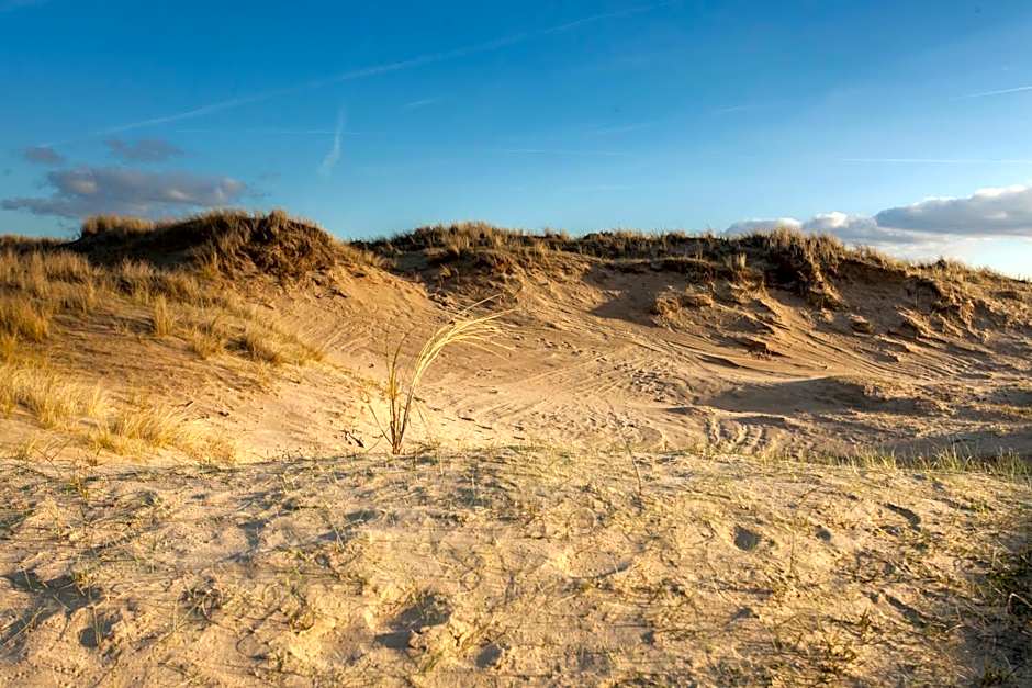 ibis Styles Haarlem City