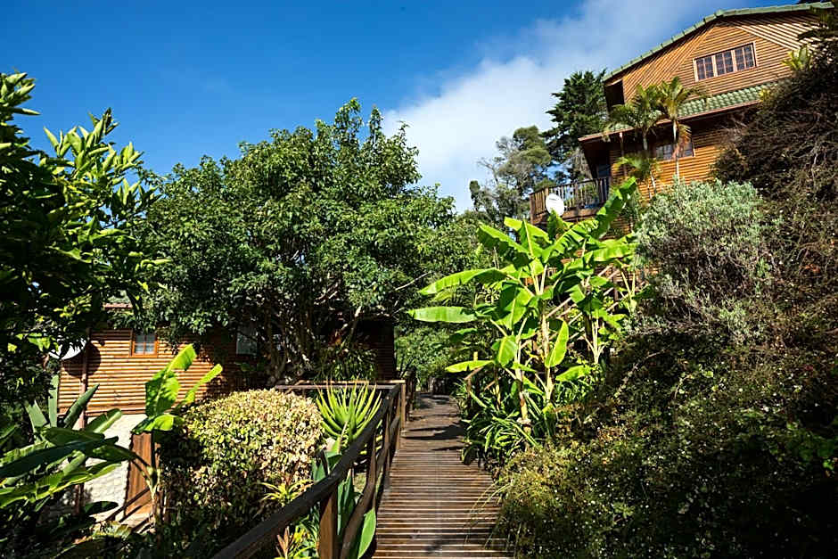 Big Tree House Lodge