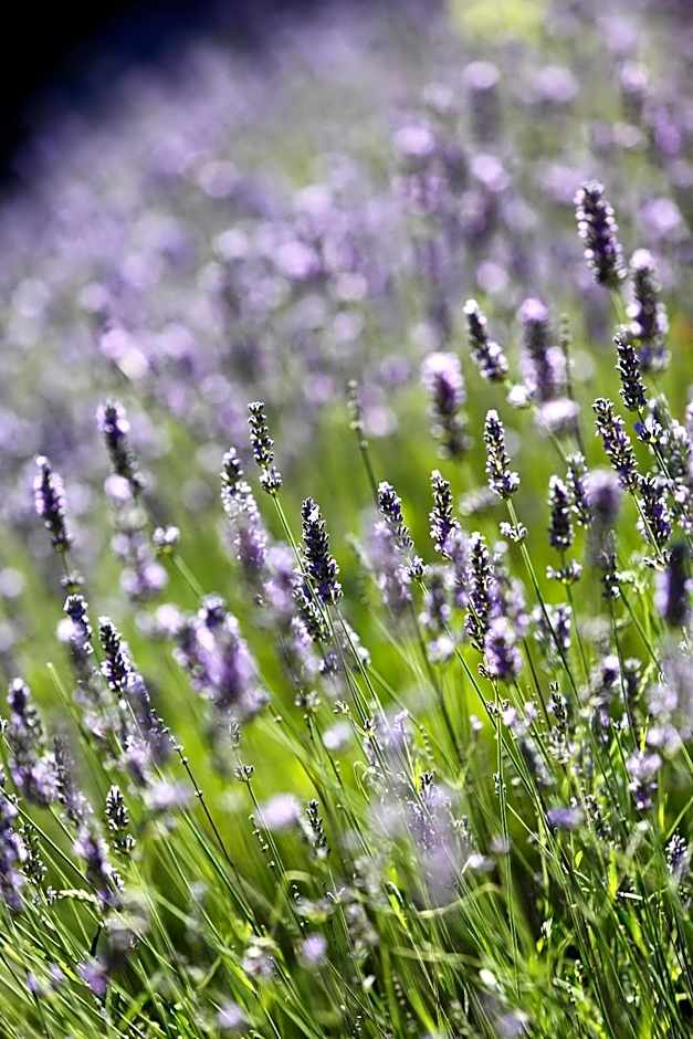 Hotel Résidence Le Sporting