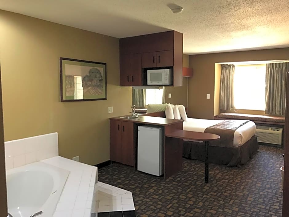 Microtel Inn & Suites By Wyndham Lithonia/Stone Mountain