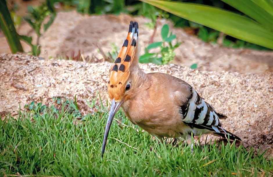 Silver Beach Boutique Hotel