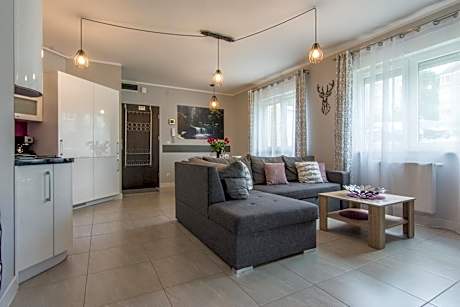 Two-Bedroom Apartment (Różany)