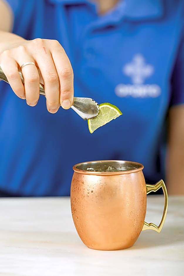 Oporto Airport & Business Hotel