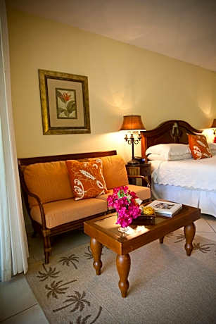 Studio with Garden View