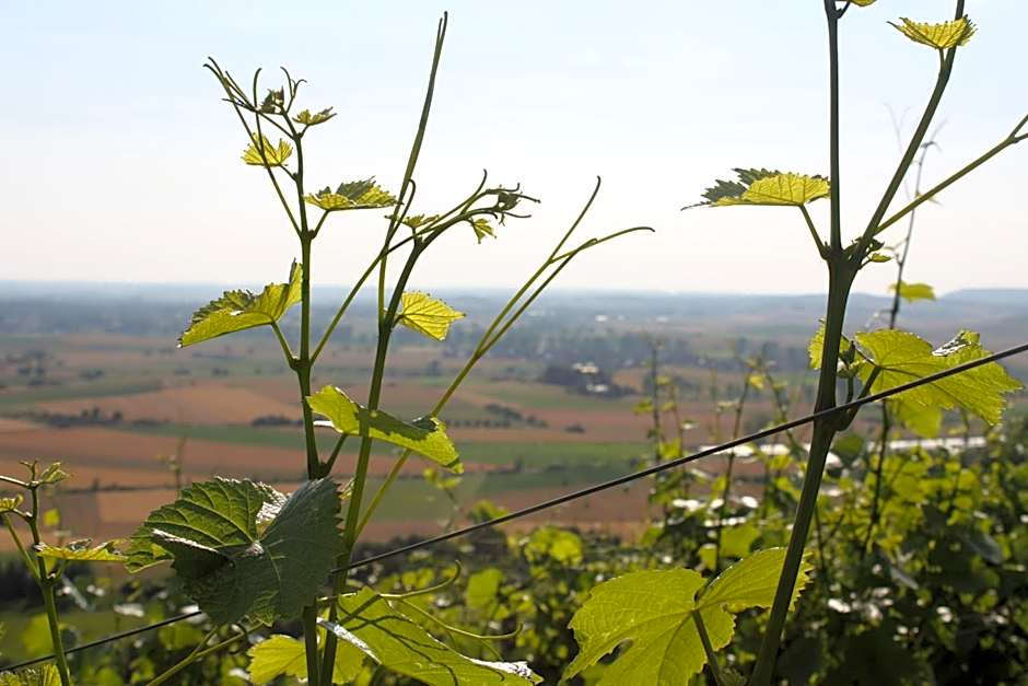 Schwarzer Adler - Hotel Garni