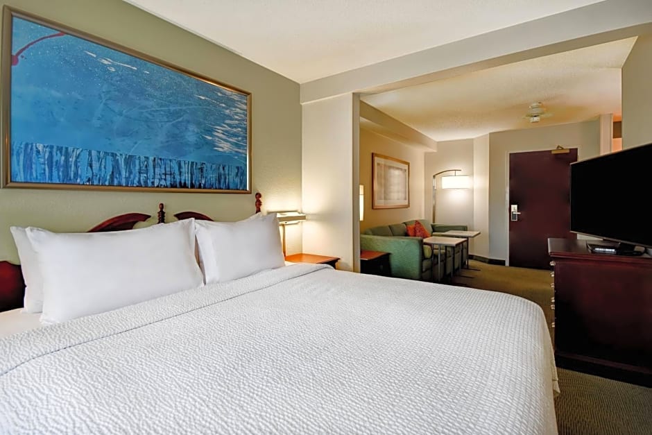 SpringHill Suites by Marriott Atlanta Buford/Mall of Georgia