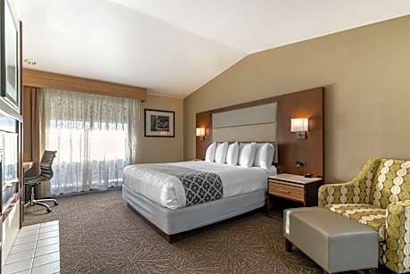 1 King Bed Non-Smoking Fireplace High Speed Internet Access Refrigerator Coffee Maker Full Breakfas