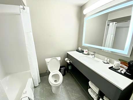 King Suite with Sofa Bed - Non-Smoking