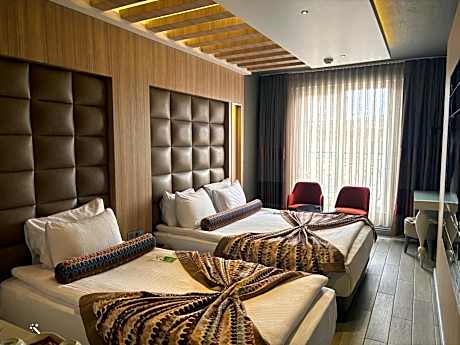 Standard Double or Twin Room