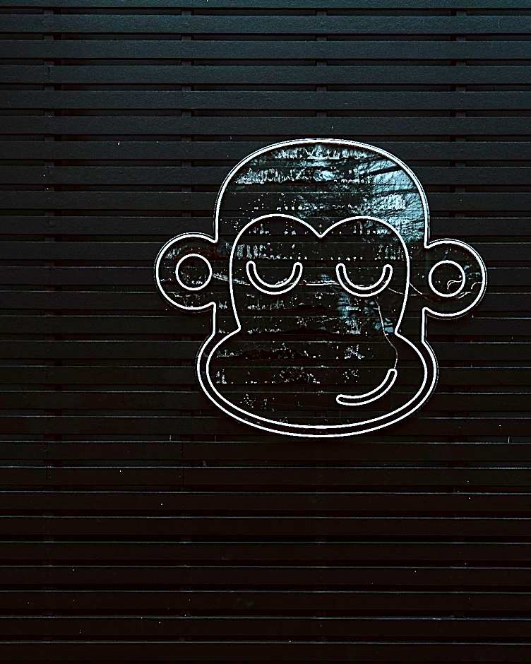 Blu Monkey Phi Phi Island