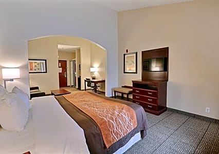 Comfort Inn & Suites Love Field-Dallas Market Center