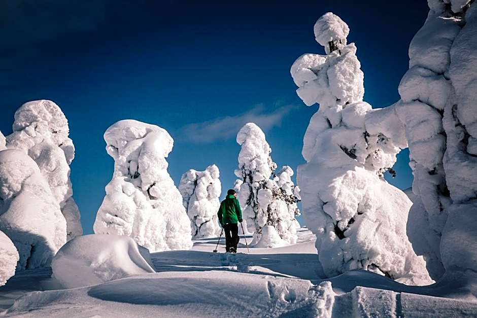 Lapland Hotels Saaga