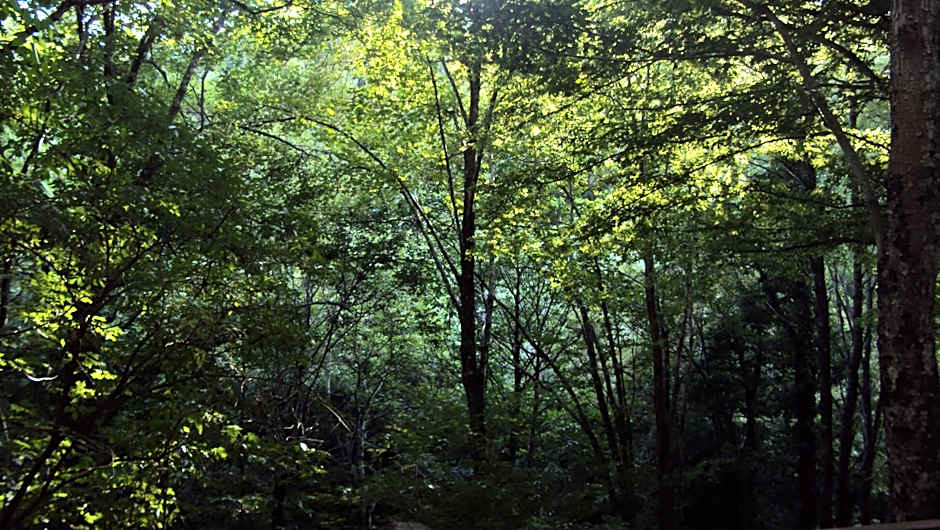 Locanda Dei Baroni - Antica Dimora