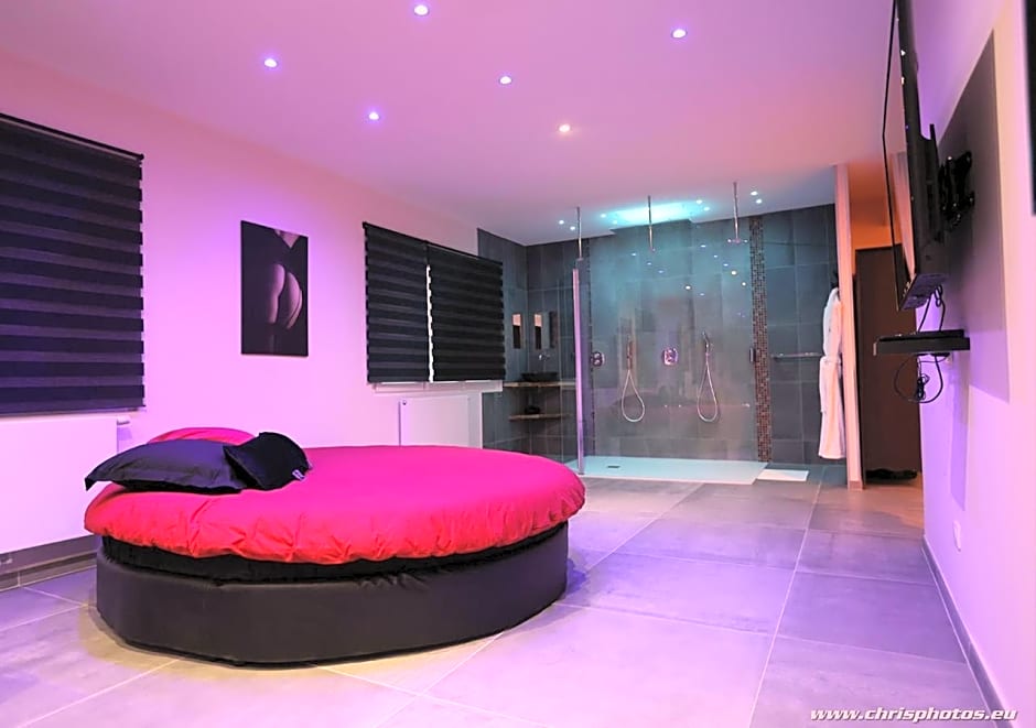 Ds Plaisir Love Room avec sauna, jacuzzi à Nancy