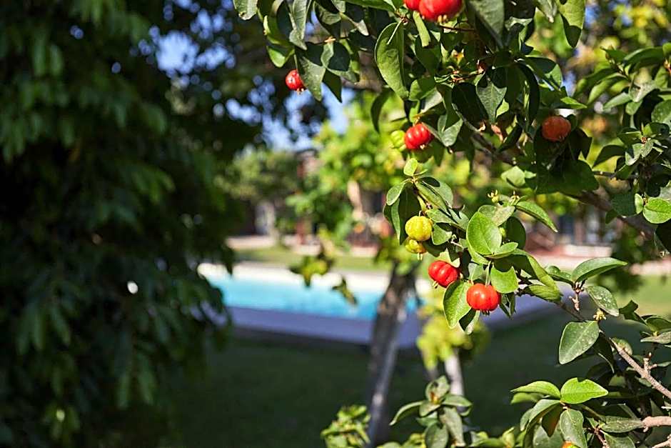 hiresicily - Casale della Pergola