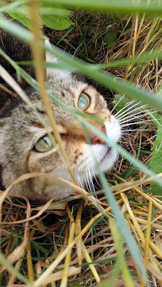 Locanda San Francesco