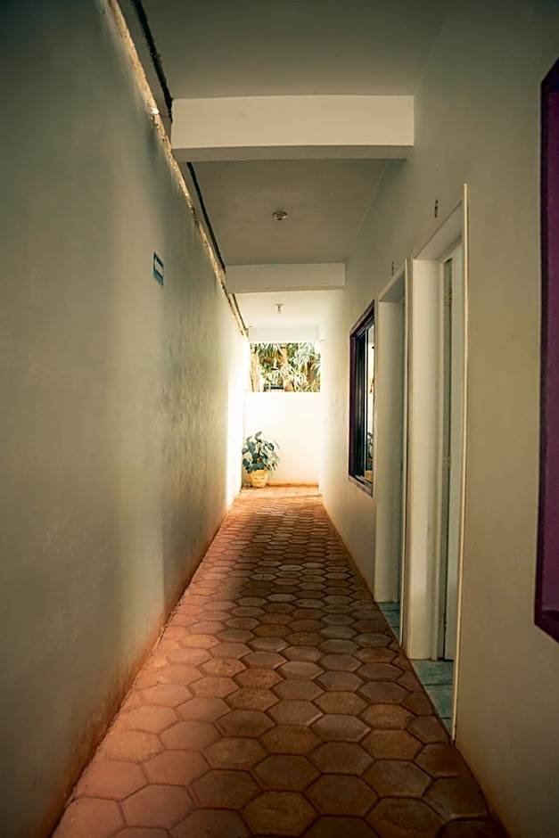 Hotel Palmarito