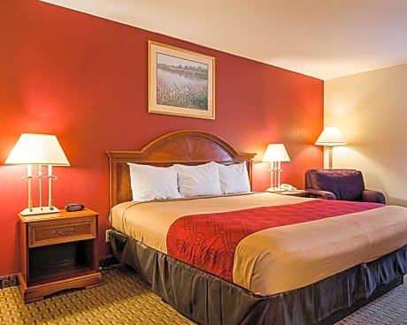 King Room - Accessible/Smoking