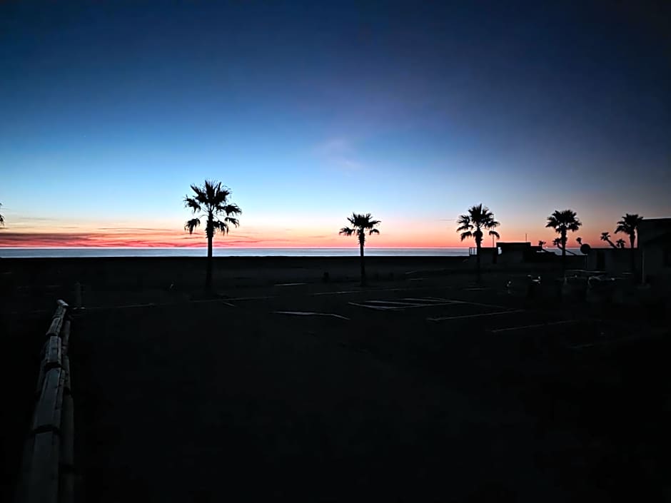 Hotel de la Plage - Barcares