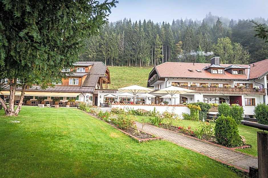 Hotel Blaue Gams ***S