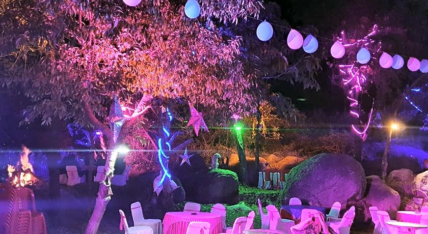 Quartz Himalayan Brothers