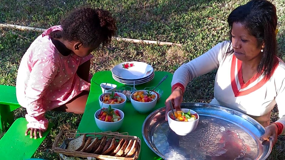 4 Pohon - Les 4 Arbres