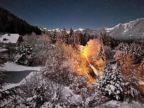 Alpine 1 bed Chalet with beautiful views