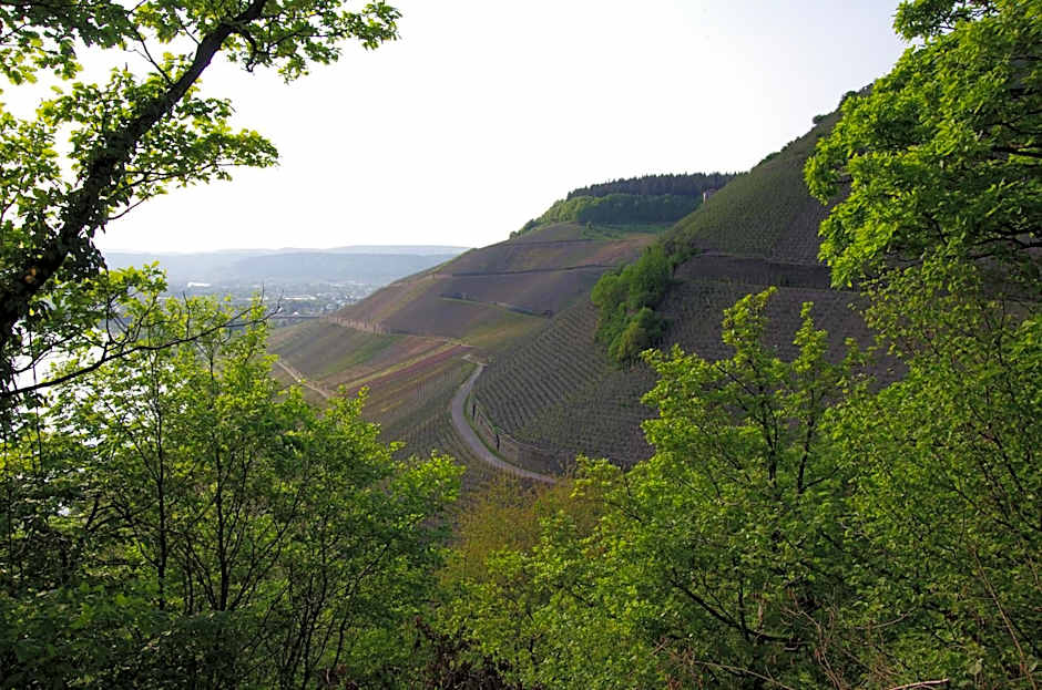 Weingut Weich