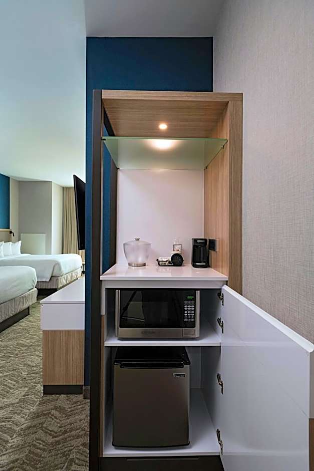 SpringHill Suites by Marriott Waco