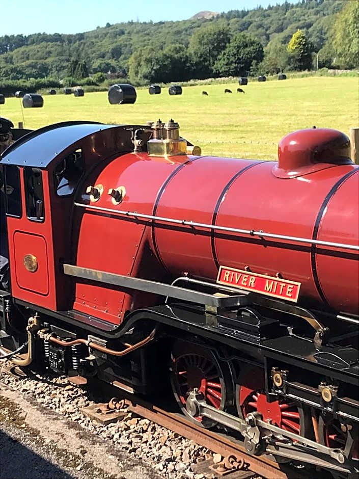 Dale View bed & breakfast