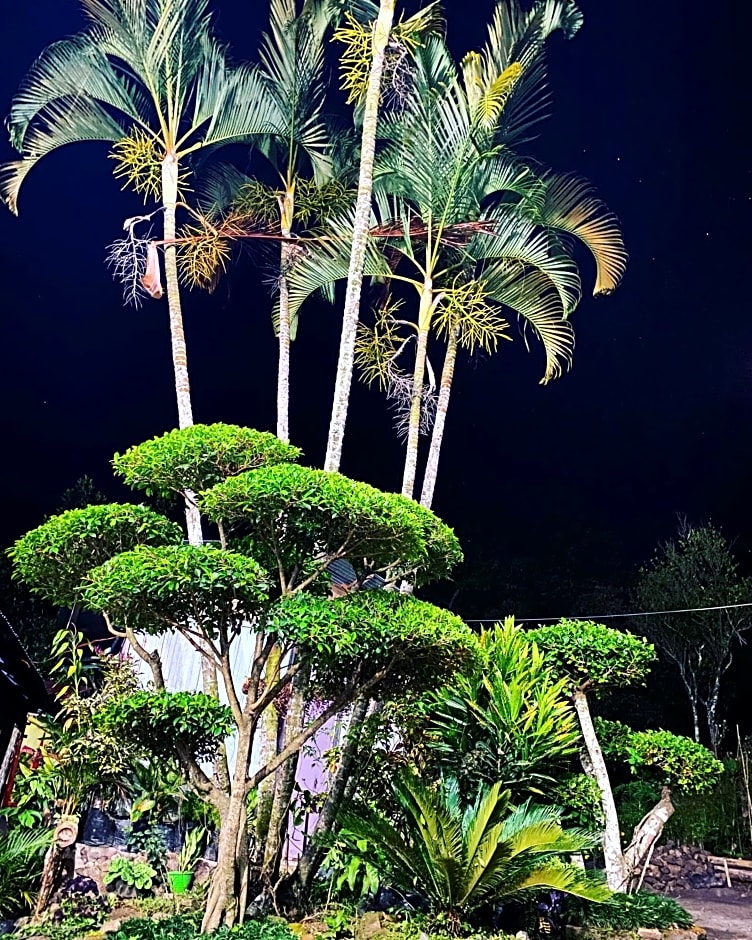 Santiago Bed and Breakfast at Desa Wisata Moni