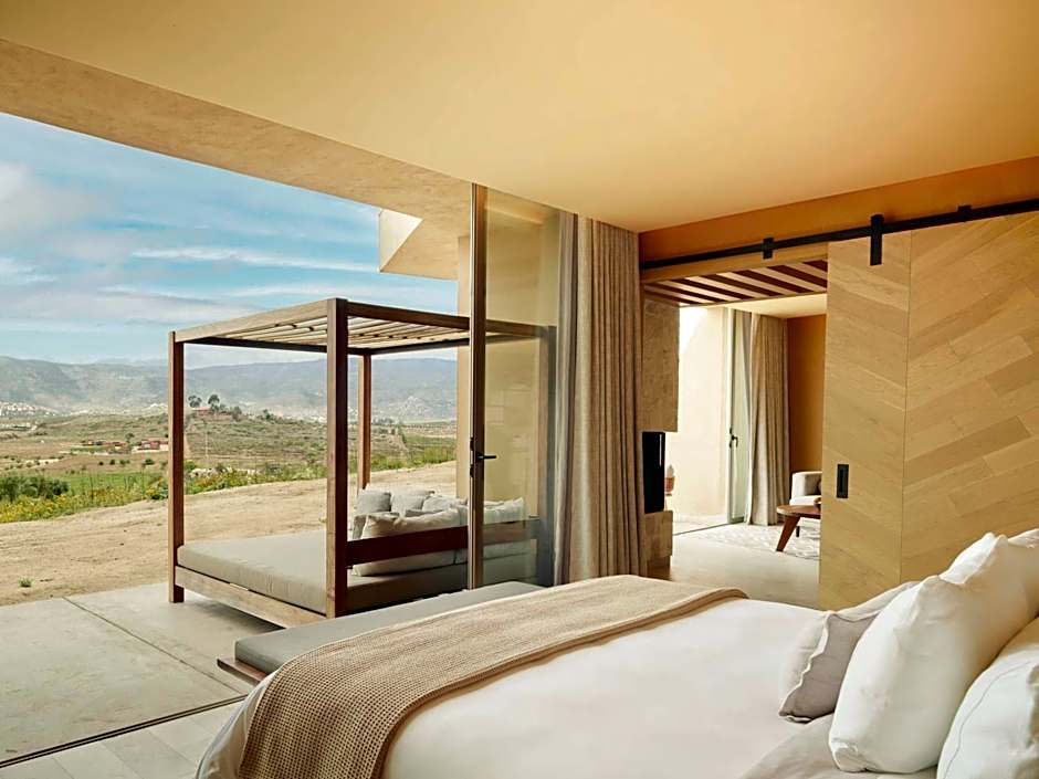 Banyan Tree Veya, Valle de Guadalupe