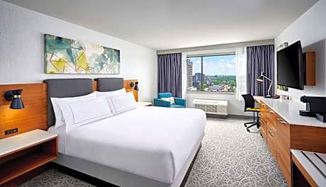 1 King Bed