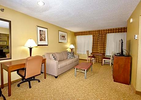 One-Bedroom King Suite