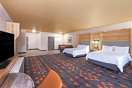 Suite - Mobility Access Roll in Shower/Non-Smoking