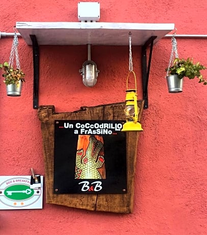 Un coccodrillo a FrAsSiNo