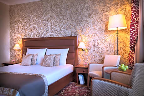 Comfort double room with park view