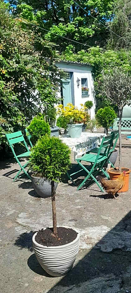 Saint Martin's Bed and Breakfast