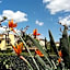 Albergo Roma