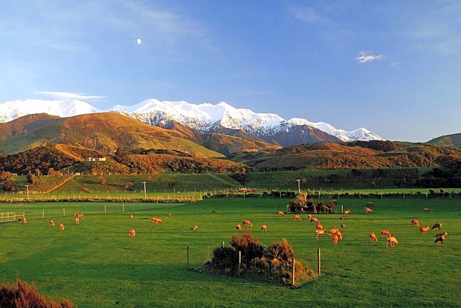Hapuku Lodge & Tree Houses