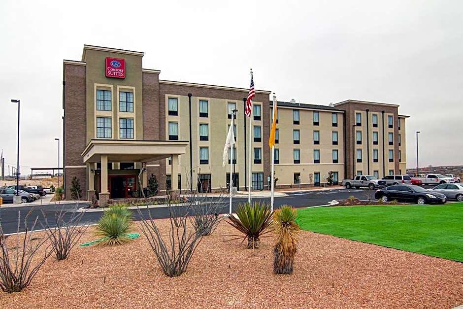 Comfort Suites Carlsbad