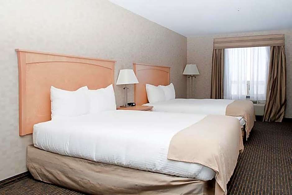 Paradise Inn and Suites