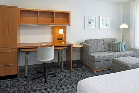 Studio, 1 King Bed with Sofa bed (1 King Bed and 1 Double Sofa Bed)