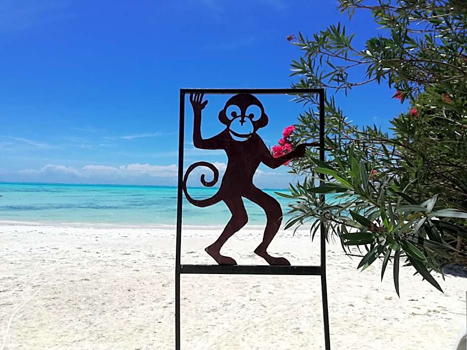 Red Monkey Beach Lodge
