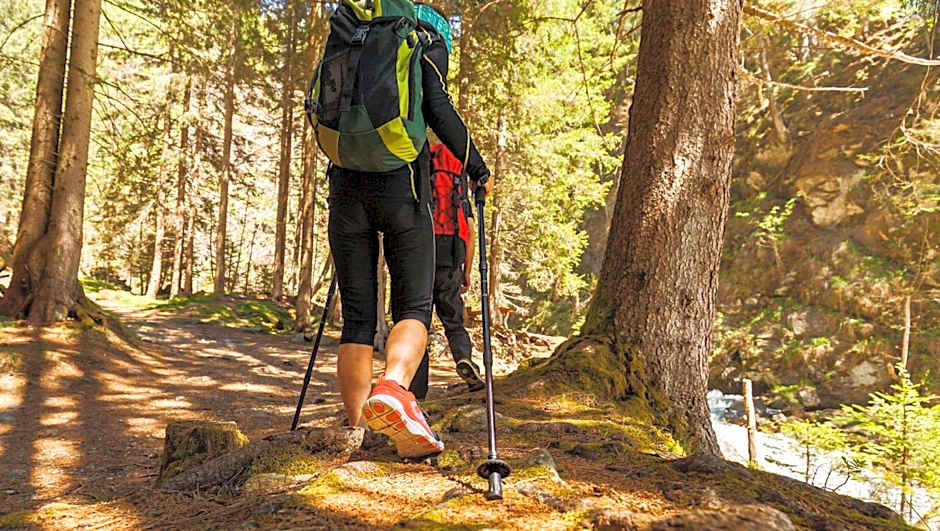 Motel Forrest Rockville