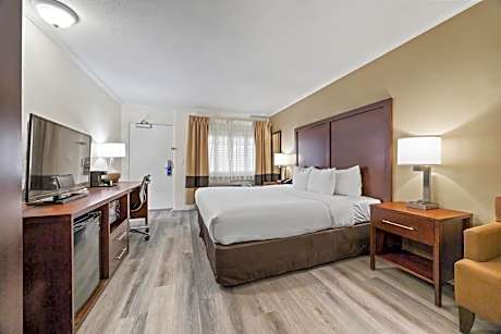 King Room with Hot Tub - Non-Smoking